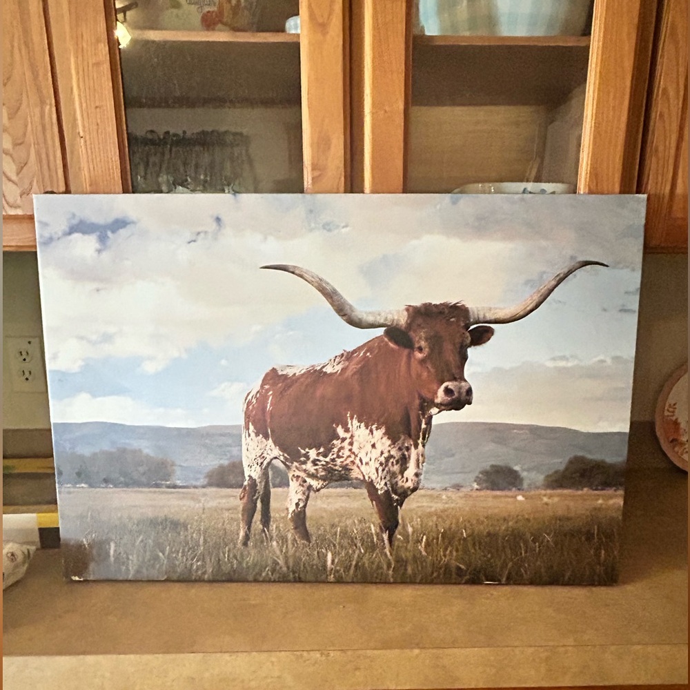Cow picture